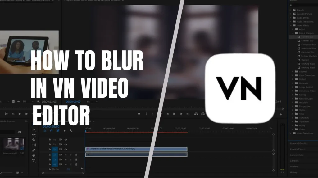 Blur Video in VN